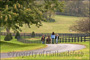 slides/Kentucky_101809_1453.jpg  Kentucky_101809_1453