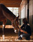slides/Kentucky_101809_3047.jpg  Kentucky_101809_3047