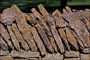 slides/Kentucky_101809_3143.jpg  Kentucky_101809_3143