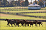 slides/Kentucky_101809_3190.jpg  Kentucky_101809_3190