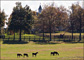 slides/Kentucky_101809_3206.jpg  Kentucky_101809_3206