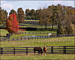 slides/Kentucky_101809_3216.jpg  Kentucky_101809_3216