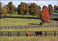 slides/Kentucky_101809_3222.jpg  Kentucky_101809_3222
