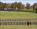 slides/Kentucky_101809_3235.jpg  Kentucky_101809_3235
