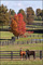 slides/Kentucky_101809_3253.jpg  Kentucky_101809_3253