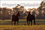 slides/Kentucky_101809_3387.jpg  Kentucky_101809_3387