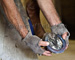 slides/Shoeing_0709010_0023.jpg  Shoeing_0709010_0023