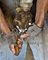 slides/Shoeing_0709010_0049.jpg  Shoeing_0709010_0049