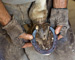 slides/Shoeing_0709010_0054.jpg  Shoeing_0709010_0054