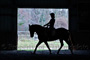 slides/TrotSilhouette_111809_0149.jpg  TrotSilhouette_111809_0149