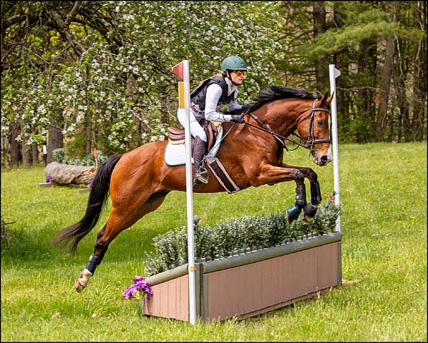 AKF Schooling Event May 2024