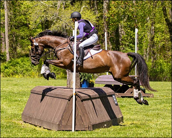 Course Brook Farm May HT 2026