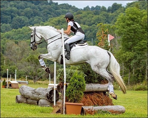 Huntington Farm Area 1 Championships 2026
