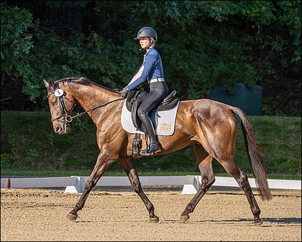 AKF Schooling Event Championships 2026